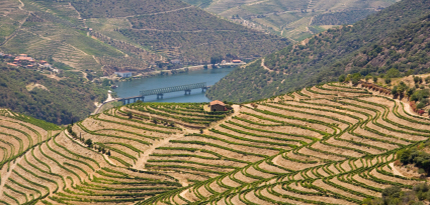 Douro